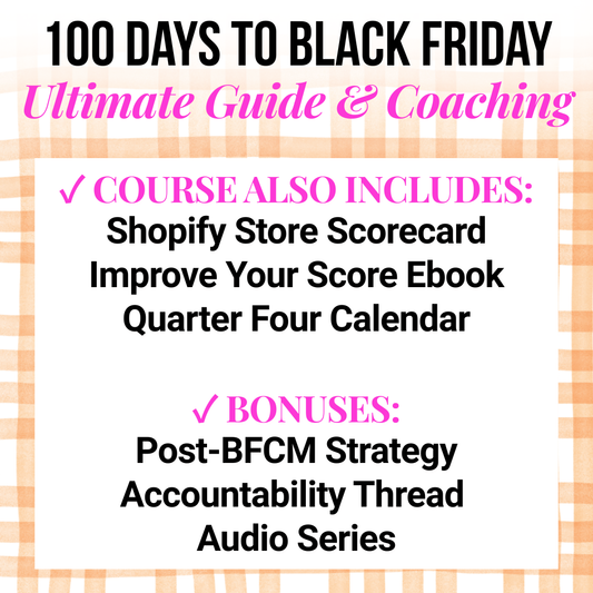 100 Days to Black Friday Ultimate Guide & Coaching