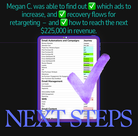 Growth Blueprint, Audit + 1:1 Call