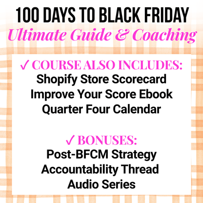 100 Days to Black Friday Ultimate Guide & Coaching