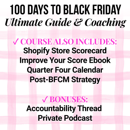 100 Days to Black Friday Ultimate Guide & Coaching