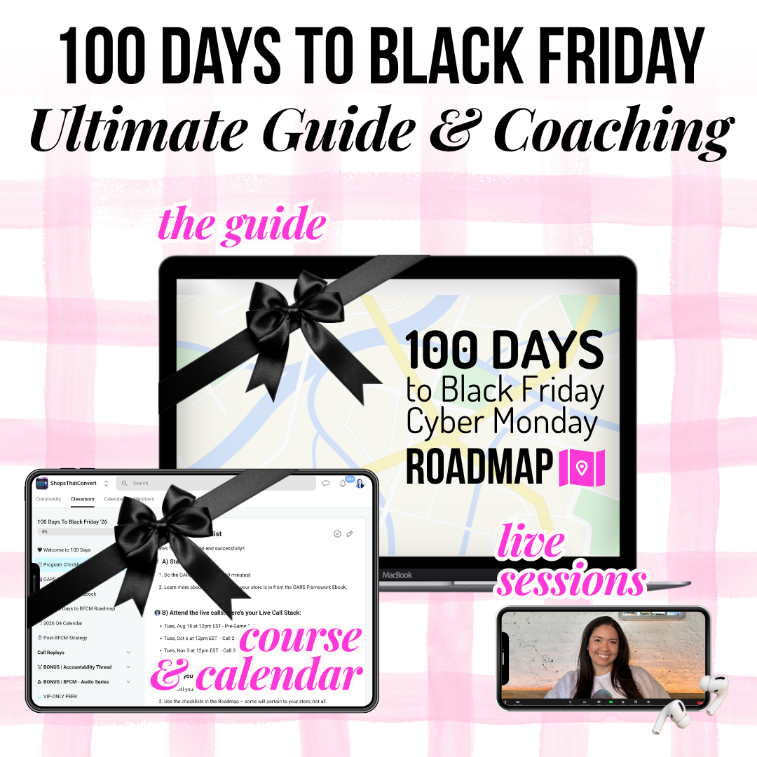 100 Days to Black Friday Ultimate Guide & Coaching