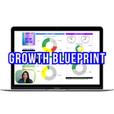Growth Blueprint, Audit + 1:1 Call