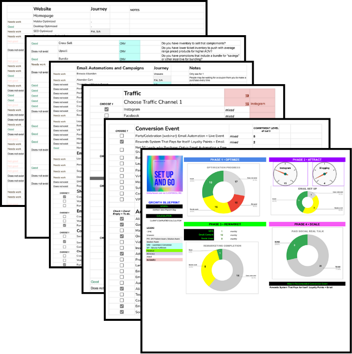Growth Blueprint, Audit + 1:1 Call